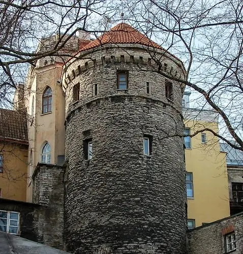 فندق Rapunzel Tower