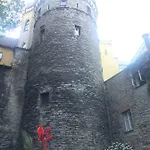 Rapunzel Tower